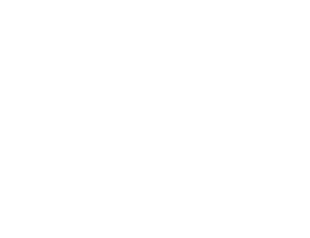 FMTBoiler